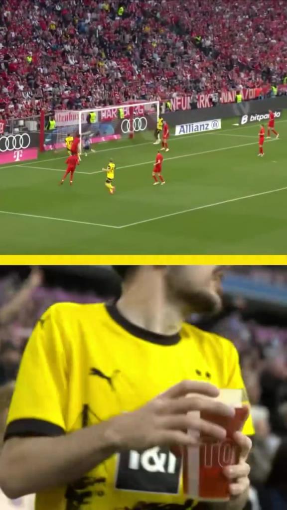 勇者無(wú)懼！這是真多特球迷！在拜仁球迷區(qū)一個(gè)人肆意慶祝！